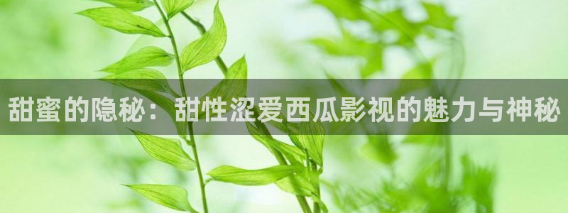 青丝影院最新电视剧免费播放